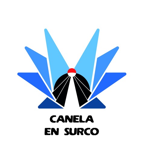 Canela En Surco Records’s avatar