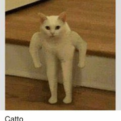 Vikktor
