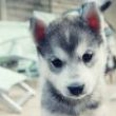 TaylorSwiftFan13