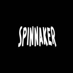 spinnxker