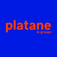 Platane le groupe