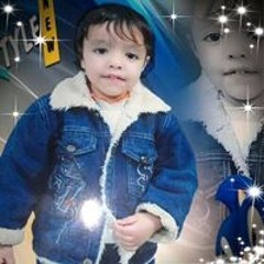 جمال احمد السيد