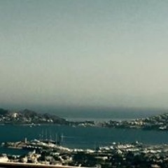 Aslı Levent
