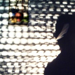 Patrick Avias