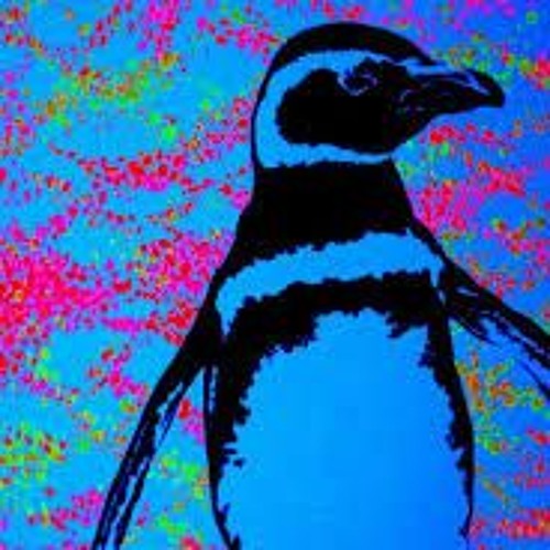 Rude Penguin’s avatar
