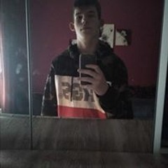 david