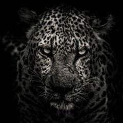 Tushar Goel