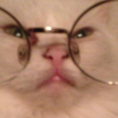 Денис Думенков