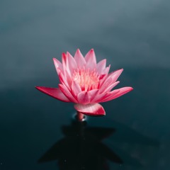 «=ΙλM¬2018♫«