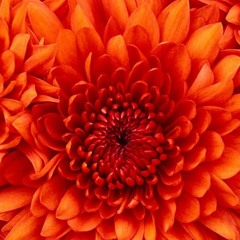whoami