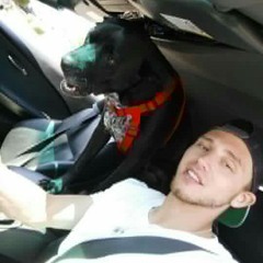 scottytoohottie