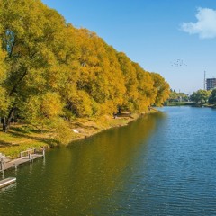 Meadowspring Browning