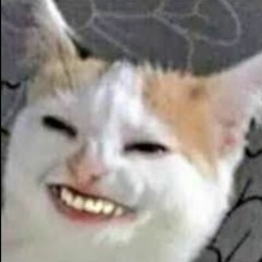 Lâm Lê