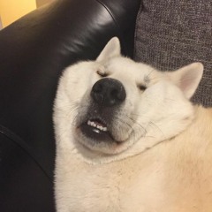iiiiiiiiiiamm