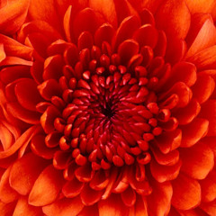 sriram k