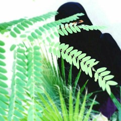 ذآإت الردآء الأسود