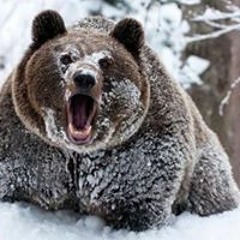 Алексей Сергеевич