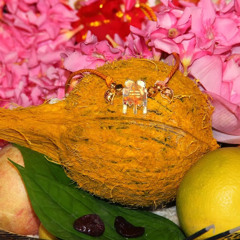 malarvizhi ramaswamy