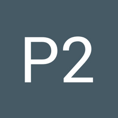 P2 Gamer