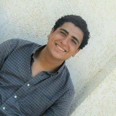 Youssef SamY