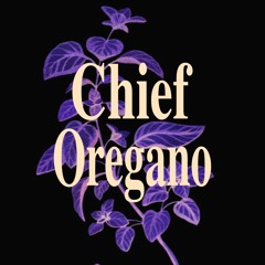 Chief Oregano