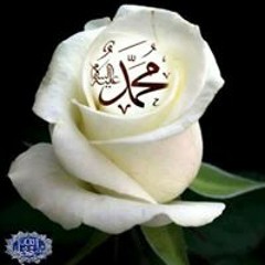 Hany Maher