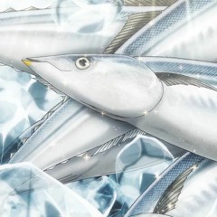 lowkeyfish [AVLO]