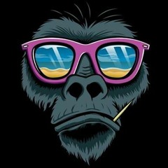 Abdelrahman Abou Zaid