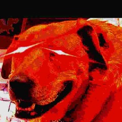 fcsexb