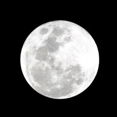 Dreamymoon