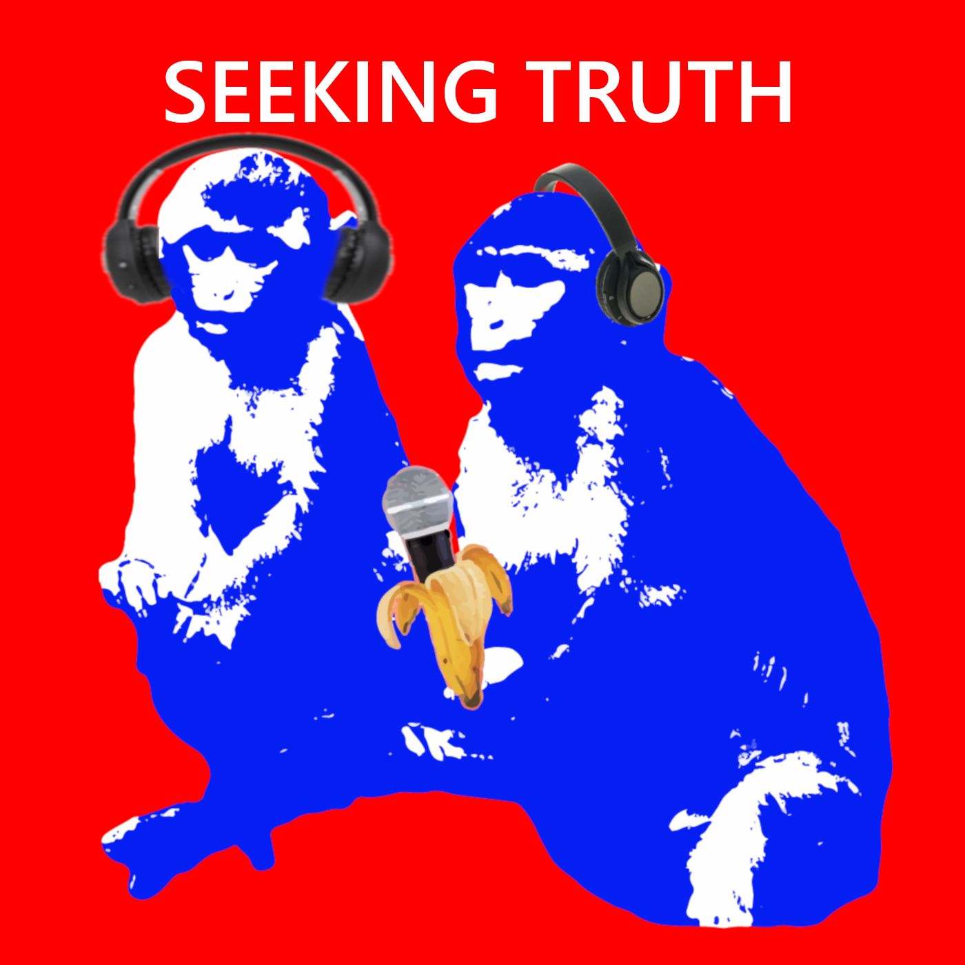 Seeking Truth Episode 6 - Freedom