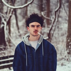 The Guido Mosquito (nem)