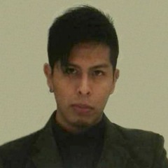 Mirko Gallegos