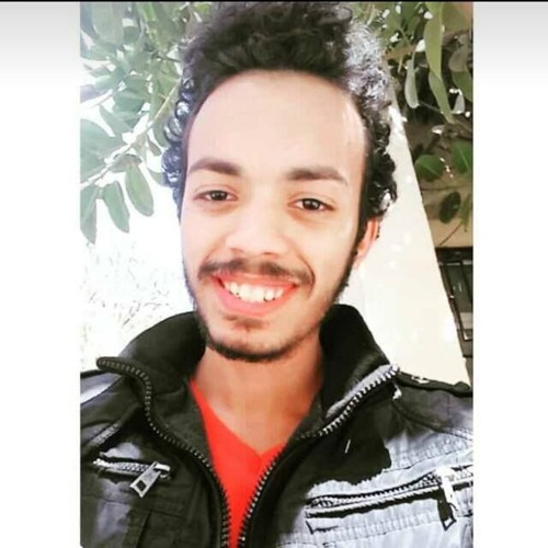 Ali Ismail’s avatar