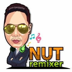 Nut remixer 2018