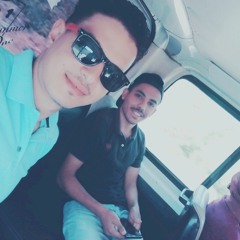 nader goda fergany
