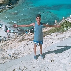 Tarek