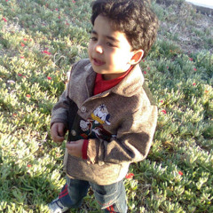 Mohammad Khawajah