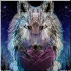 Sorin wolf