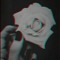 voidPhoto