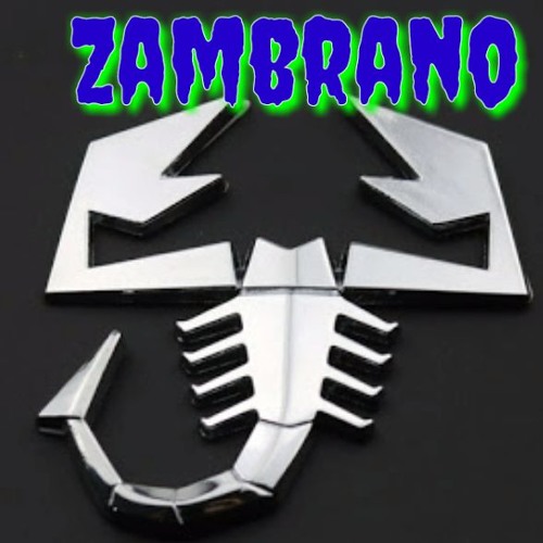 Tiago Zambrano’s avatar