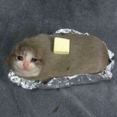 no