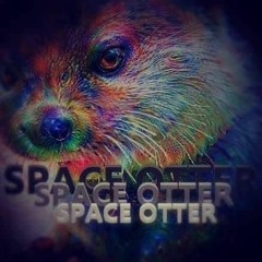 SPACE OTTER