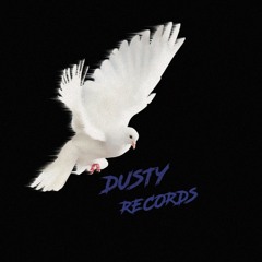 DustyOnTheTrack