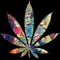 Stoner