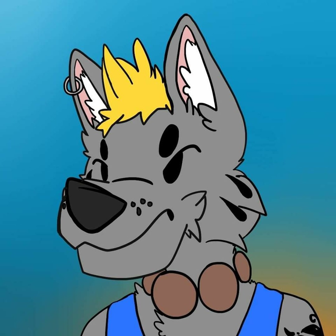 GALAXCY WOLF’s avatar