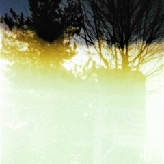 Everything Forgotten