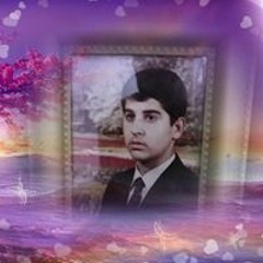 محمد هادي توري