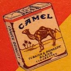 Yung Camel