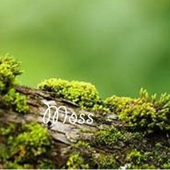 Moss